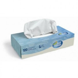 Kapesníčky v krabičce 100ks