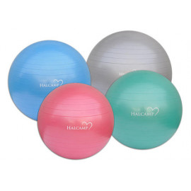 Míč cvičební pr. 65cm + pumpa